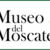 La Ruta del Vino y Brandy del Marco de Jerez renueva con éxito su certificación como “Ruta del Vino de España”