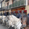Decenas de caballistas de la Policía Nacional se convierten en protagonistas de la campaña solidaria 'Llenemos un ZETA'