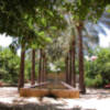 20 años de la Buhaira, los jardines declarados por la UNESCO, Bien de Interés Cultural más premiados de Sevilla.