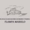 La FLAMPA Marielo informa que su presencia en el Consejo Escolar Municipal fue con voz pero sin voto y llama a la responsabilidad 