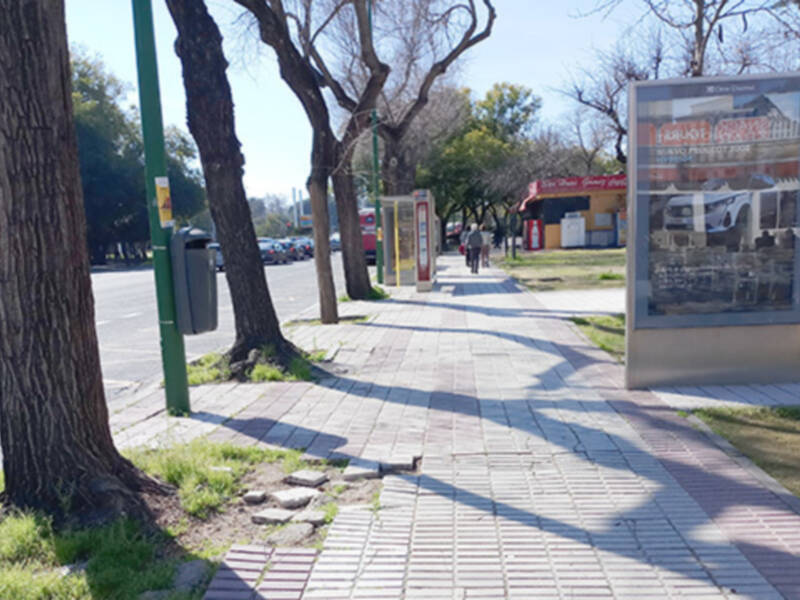 “Se producen 7,5 reclamaciones al día ante el Ayuntamiento de Sevilla por parte de los ciudadanos.