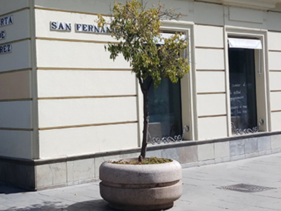 Árbol en maceta frente a una fachada de edificio con letras "San Fernando".