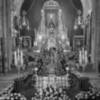 La titular Mariana de la Hermandad de la Soledad de Alcalá del Río en Veneración