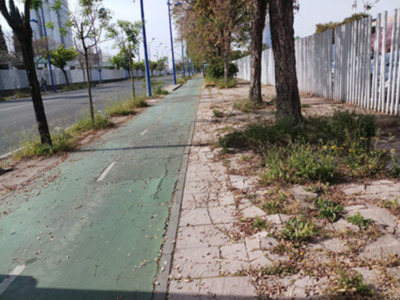 Un camino de asfalto verde con algunos tramos deteriorados, rodeado por vegetación y árboles en un entorno urbano.