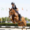 Victoria para Alejandro Entrecanales en el Pequeño Gran Premio del CSN4*