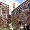 El patio de la calle Martín de Rúa nº7 ha recibido una Mención de Honor.