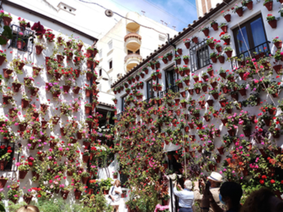 El patio de la calle Martín de Rúa nº7 ha recibido una Mención de Honor.