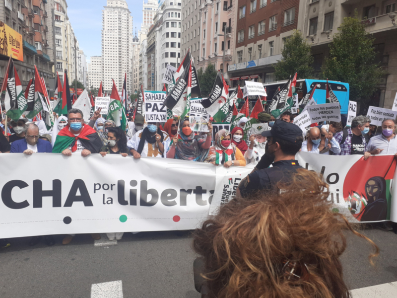 Marcha por la Libertad del Pueblo Saharaui. Etapa Final .-   Campo del Moro- Plaza de España- Puerta del Sol 19 de Junio