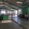 Luis Mario Aparcero y Laura Román valoran la capacidad de reinventarse del sector agrícola en visita a Andalucía Auctions