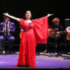   María José Santiago ofrecerá un concierto benéfico en la Iglesia de Santiago