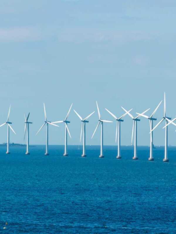 La Delegación de Medio Ambiente muestra su rechazo al proyecto de eólica marina en la bahía de Cádiz