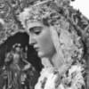 Traslado  a la Parroquia de Santa María de la Asunción de los Titulares de Vera-cruz Ilipense para sus cultos