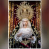 La Virgen de la Soledad estará este año comandada por Pedro Martín y su equipo de costaleros de la Hermandad del Cautivo 