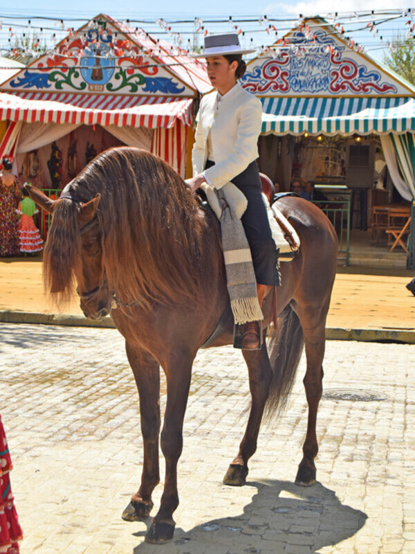 El caballo protagonista de la Real Feria de abril