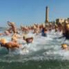 La Travesía a nado Picoco-Playa de Regla se disputará este año el domingo 28 de agosto