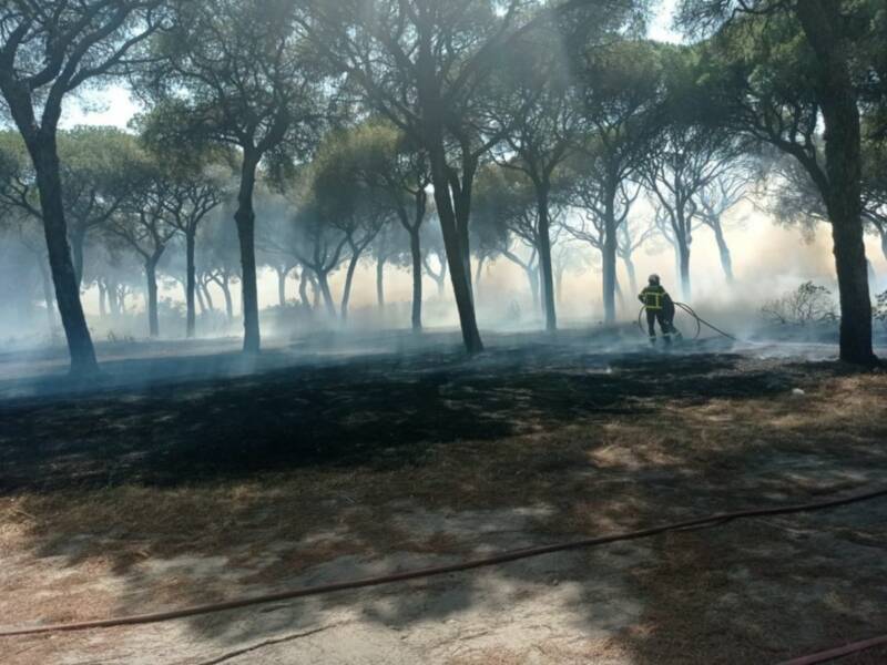 El Concejal Delegado de Medio Ambiente, Sebastián Guzmán, agradece colaboración en el control del incendio originado en la zona del Abulagar