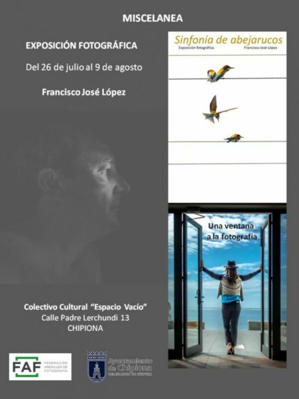 ‘Sinfonía de abejarucos’, singulares partituras en la muestra fotográfica que ofrece Francisco José López en la sala de Espacio Vacío