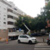 Problemática del arbolado en Sevilla y su incidencia en la iluminación viaria.