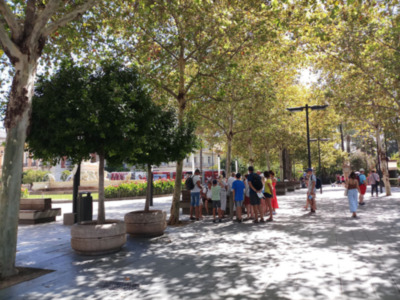 La mejor sombra de Sevilla, la sombra vegetal.