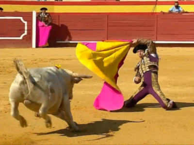 Segunda Semifinal del Ciclo de Novilladas de Canal Sur, en directo desde Dos Torres