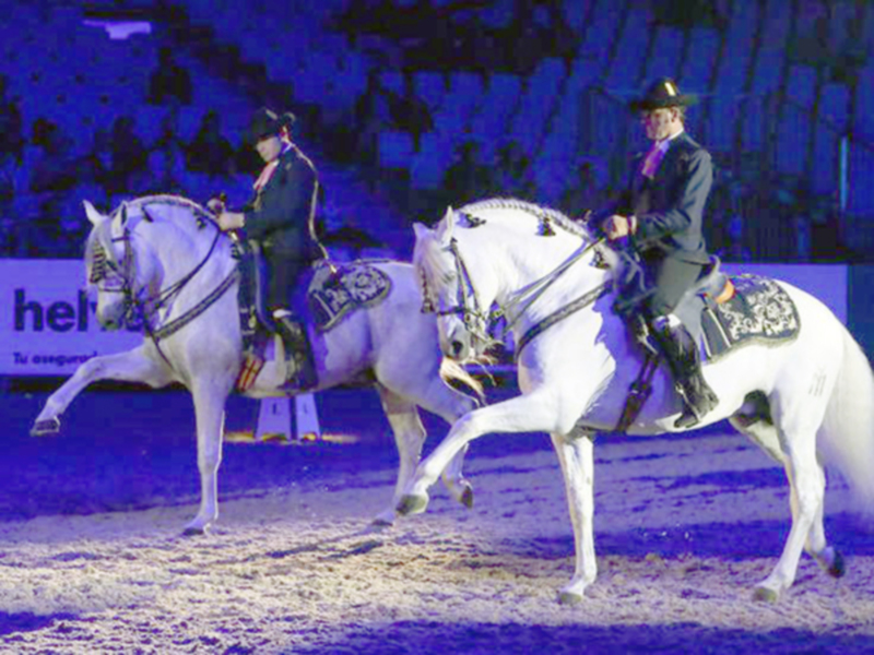La trigésimo segunda edición del Salón Internacional del Caballo en Sevilla se celebrará hasta el próximo domingo 20 de noviembre en Fibes