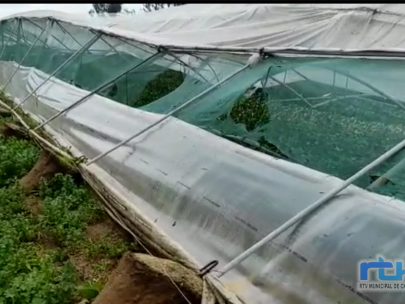 Luis Mario Aparcero pide a los agricultores de Chipiona que comuniquen los daños sufridos por el temporal para iniciar peticiones de ayudas 