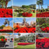 Andalucíía se engalana en Navidad