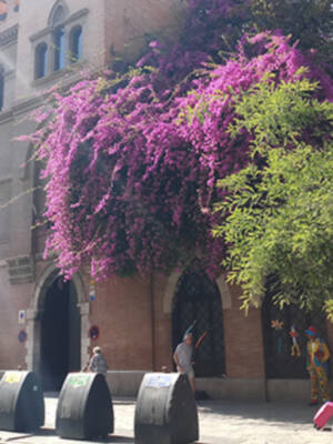 La primavera llega el día 20 de marzo a las 16:33 horas (hora peninsular).