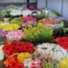 Las flores que llevan los pasos de Semana Santa.
