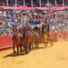 XXXVII Exhibición de Enganches de Sevilla 2023