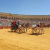 Sevilla Capital Mundial del Enganche 2023