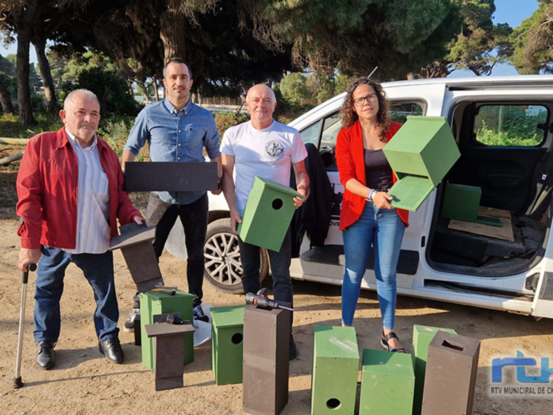 CANS y Ayuntamiento de Chipiona colocan dieciséis cajas nido para cuatro especies de aves en la avenida de Rota y el pinar