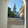 La iglesia colegial del Divino Salvador y la catedral sevillana de gratuidad dentro de la política del cabildo Metropolitano hispalense