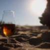 Radio Chipiona ofrecerá la próxima semana una programación especial dedicada a la fiesta local del vino moscatel