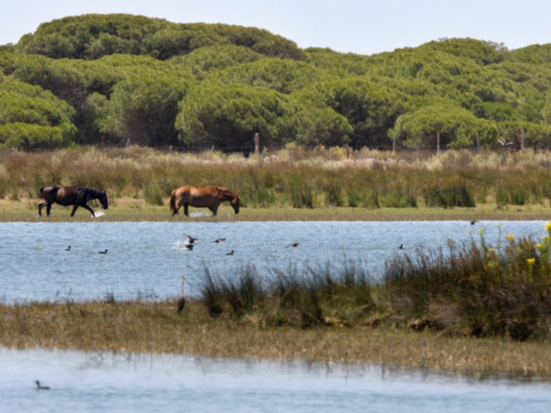  "Andalucía por el Mundo" se interna en el Gante más monumental  Canal Sur TV | Domingo, 22:55 h.  El programa de Canal Sur muestra la ciudad belga co