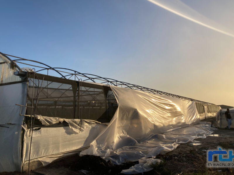 La Junta indemnizará a los floricultores de Chipiona y otras poblaciones afectados por la tormenta Bernard