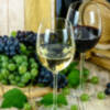"Andalucía, tierra de vinos", documental sobre la elaboración y calidad de los vinos andaluces en ATV