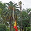  Izado Solemne de Bandera en la Capitania General de Sevilla con motivo del X Aniversario de la Proclamación de S. M. el Rey Felipe VI