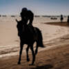 Canal Sur se vuelca con las Carreras de Caballos de Sanlúcar
