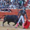  Sergio Sánchez se proclamó ganador de la Liga Nacional de Novilladas en Sanlúcar de Barrameda