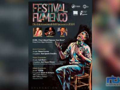 Ayuntamiento, Diputación y Peña José Mercé se unen para conmemorar el Día Internacional del Flamenco con un festival