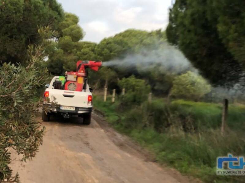La Junta de Andalucía está fumigando para combatir la procesionaria en el pinar de Chipiona