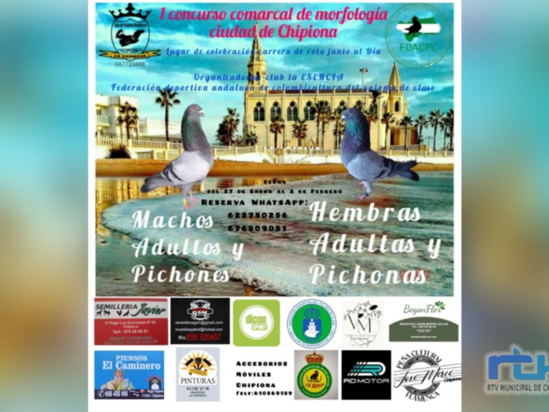 Chipiona será escenario del 27 de enero al 2 de febrero de un concurso comarcal de colombicultura 