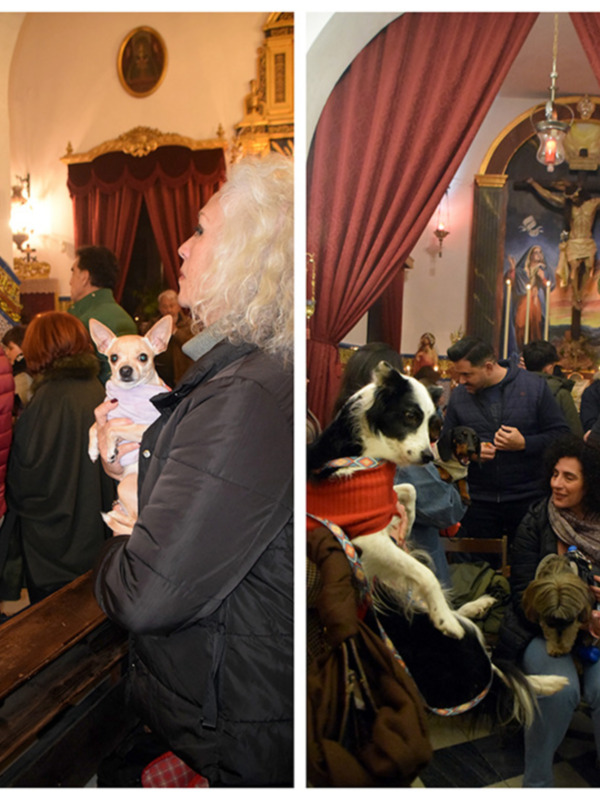 La Fiesta de San Antón Reúne a Mascotas y Dueños en la Capilla de la Divina Pastora