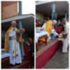  San Antonio Abad: El Santo Protector de los Animales, Celebrado con Fe y Alegría en Sevilla 