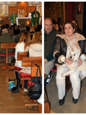 San Antón: La Festividad que Une Fe y Amor por los Animales en Sevilla