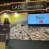 El Ayuntamiento de Olvera presenta en FITUR la Feria del Olivar y del Aceite de Oliva Virgen Extra ‘Olivera 2025’