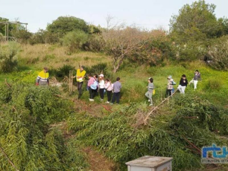 Medio Ambiente comienza un programa de plantación de especies vegetales en el que participa el alumnado del colegio Los Argonautas
