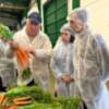 IU exige a la Junta de Andalucía que movilice ayudas urgentes para el sector agrícola y ganadero gaditano  