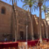 Misa del Domingo de Pascua desde la Catedral de Almería